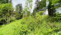             Abbruchhaus mit Berg- und Grünblick – Grundstück in Hof bei Salzburg
    