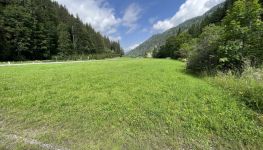             Wald, Wiese und Leitungsrecht
    