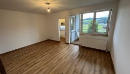             Apartment in 5400 Hallein
    