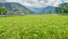             Land for construction in 9903 Oberlienz
    