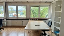             Office in 2345 Brunn am Gebirge
    